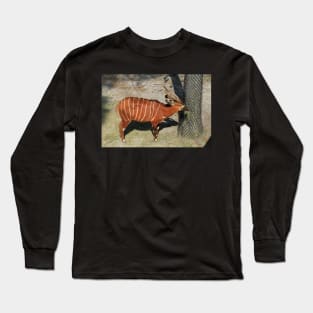 Bongo Long Sleeve T-Shirt